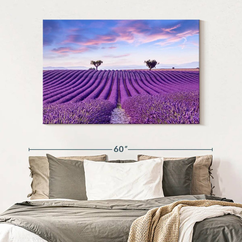 Alvord Valensole Lavender Fields, 34" H x 51" W