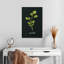 Harnek Herbs II - noir-108454228
