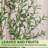Olive Tree Artificial Indoor