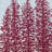 Holiday Essence Hidden Forrest Square Pillow Cover & Insert-21038053-71514908