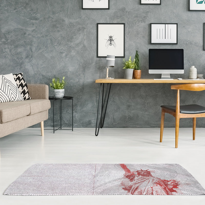 Chenille Toile Indoor Rug, Rectangle 2' x 3'