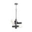 Dion Pendant (Oil Rubbed Bronze)-194270836