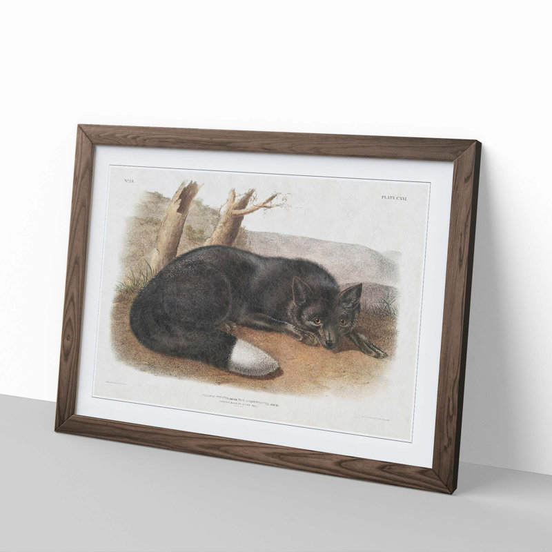 American Black Fox 1 Piece Single Picture Frame Painting, 33cm H x 45cm W x 2cm D, Walnut Framed