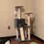 Customer photo 3 of 3