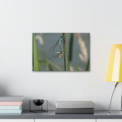 Couple de libellules sur une plante, reproduction d'art mural