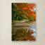 «Tidal Basin Autumn 1» par Gronseth, reproduction de photo sur toile tendue-12629375