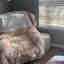 Photos des clients 1 de 1