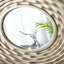 Miroir d'appoint mural 31,3X2 "- Décoration intérieure
