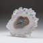 Quartz Stalactite Slice From Uruguay (271.8 Grams)