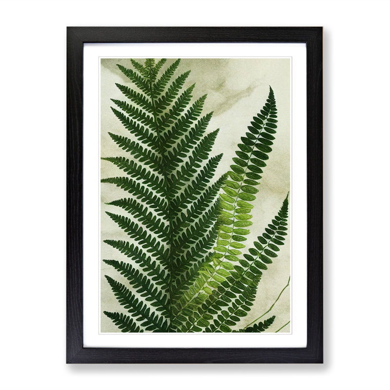 Adamczak Fern Leaf Decoupage Framed Print, 46cm H x 34cm W x 2cm D, Walnut