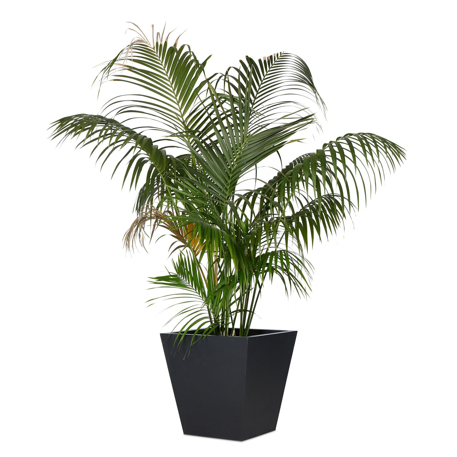 Nael Planter Box, 28" H x 28" W x 28" D, Black