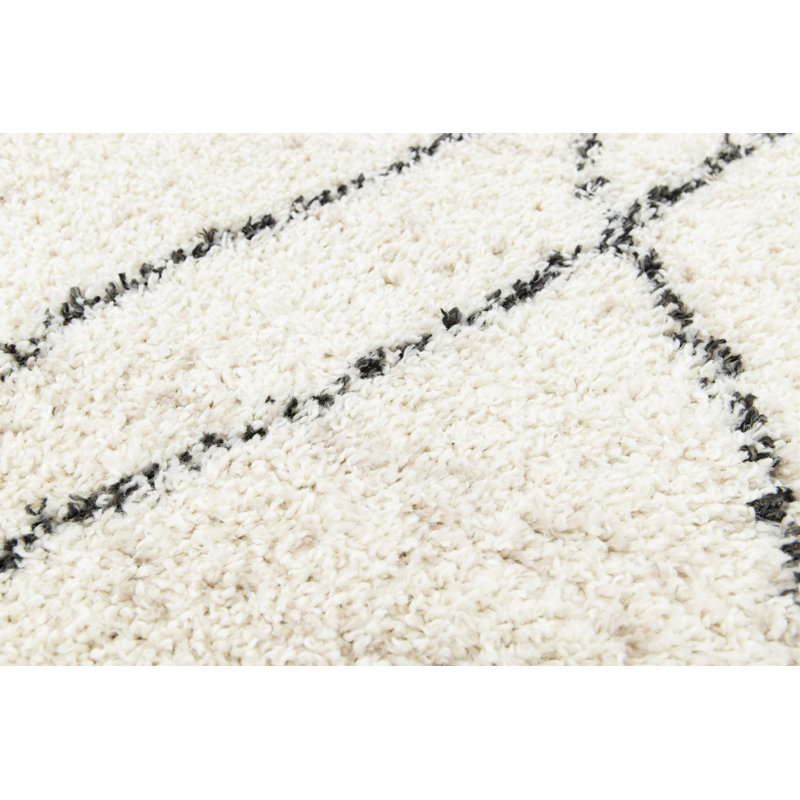 Urgeon Shag Area Rug, Rectangle 160cm x 230cm