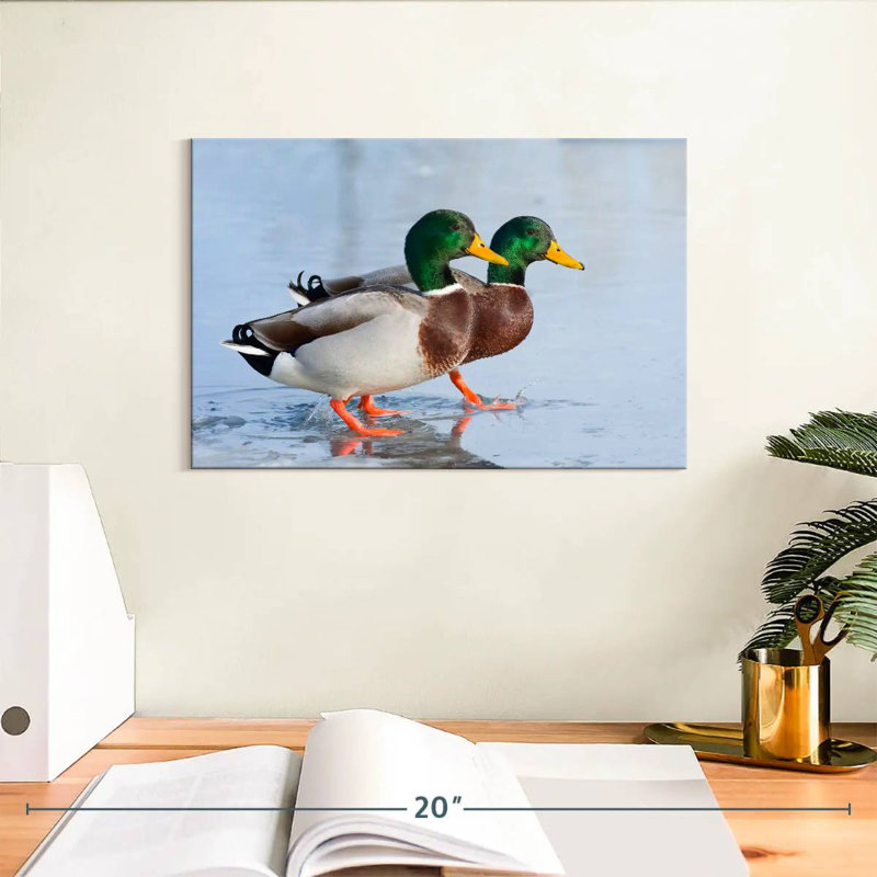 Brampt Mallard Duck Duo, 8" H x 12" W