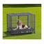 Cage pour chien robuste en métal avec roulettes verrouillables, double porte et trappe supérieure, cage de chenil en acier portable pour chiens pesant jusqu'à 88 lb