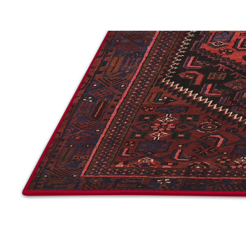 Chavtika Oriental Indoor Rug, Rectangle 5' x 7'