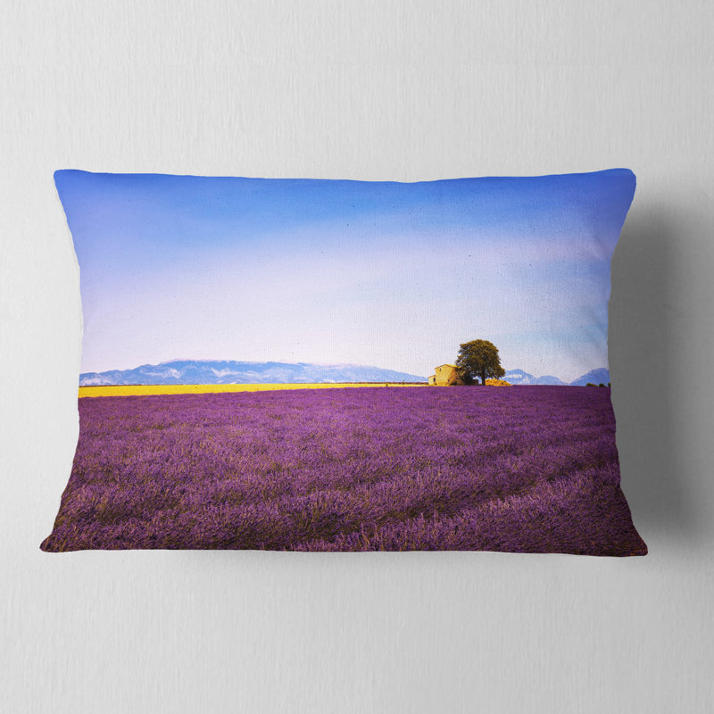 Coussin Schafer
