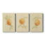 «Dappled Oranges I», toile tendue avec châssis de qualité supérieure - prête à être accrochée-254680764