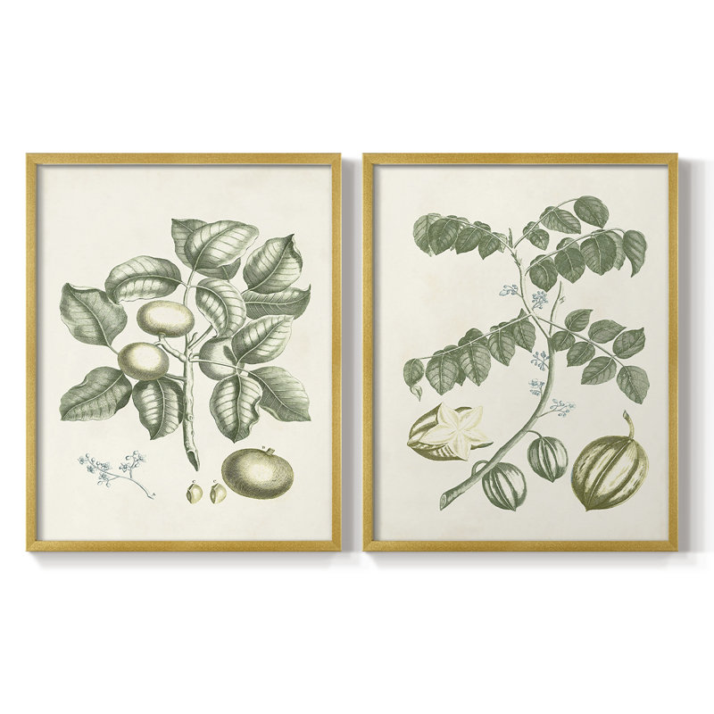 Impression encadrée Buchoz Tropicals I-Premium - prête à être accrochée - aucun clou requis - aucun clou requis
