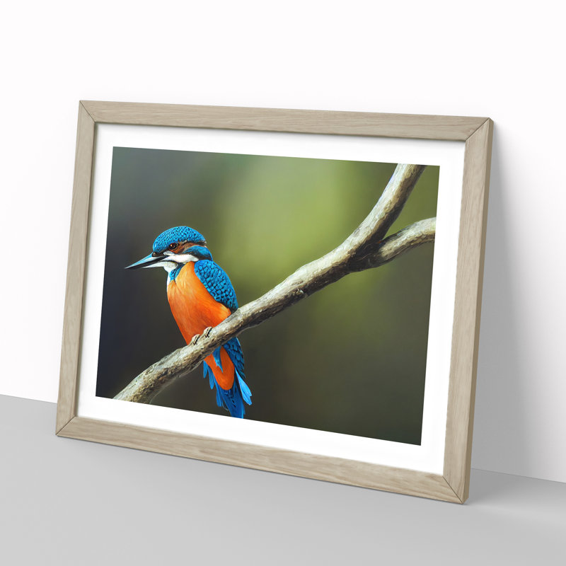 XH1022-9498X Unreal Kingfisher Bird 1 Piece Single Picture Frame Wall Art, 34cm H x 46cm W x 2cm D, Oak Framed