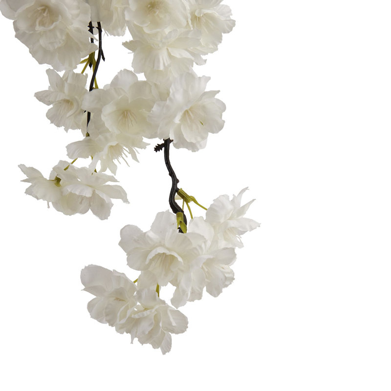 Anastasija Arrangement