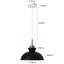 Luminaire suspendu simple à 1 lumière Gibran-1321599036