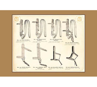 «Bridles and Halters», impression