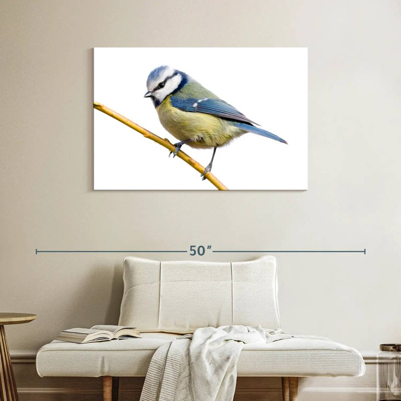 Brampt Feathery Blue Tit, 26" H x 39" W