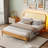 Bed With Led Light And Rattan Headboard-2076450898