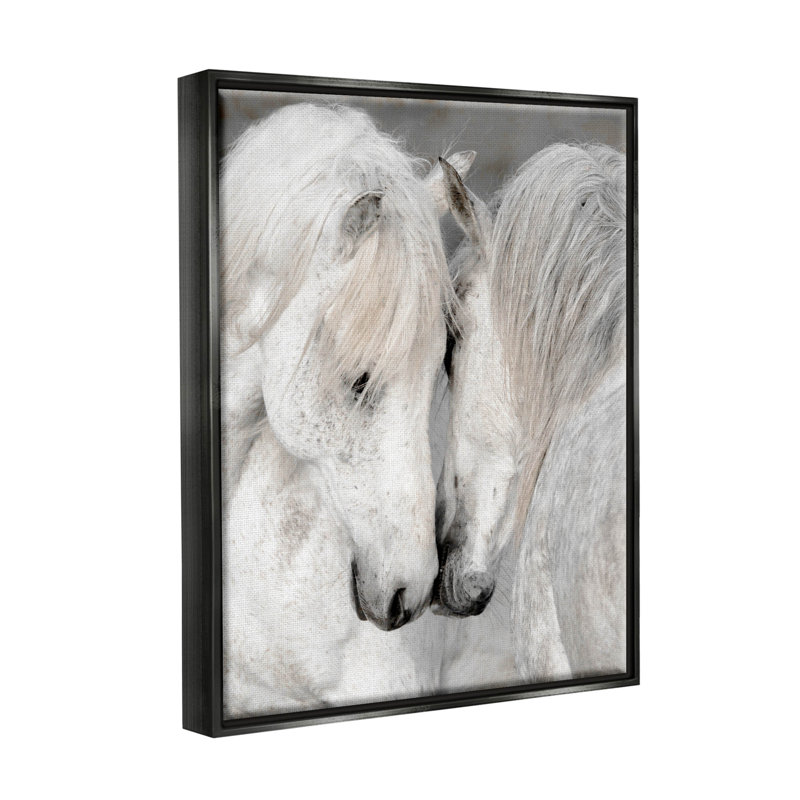 «Hugling Horse Duo Wildlife» par Danita Delimont - peinture sur toile à cadre flottant, Cadre flottant noir de jais