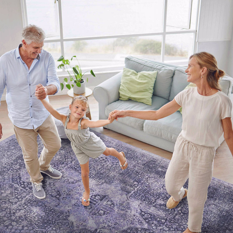 2'6''X10' Runner, Washable Function Rug, Low-Pile Design, Non-Slip Function, Non-Shedding Function, Foldable Function, Kid & Pet Friendly
