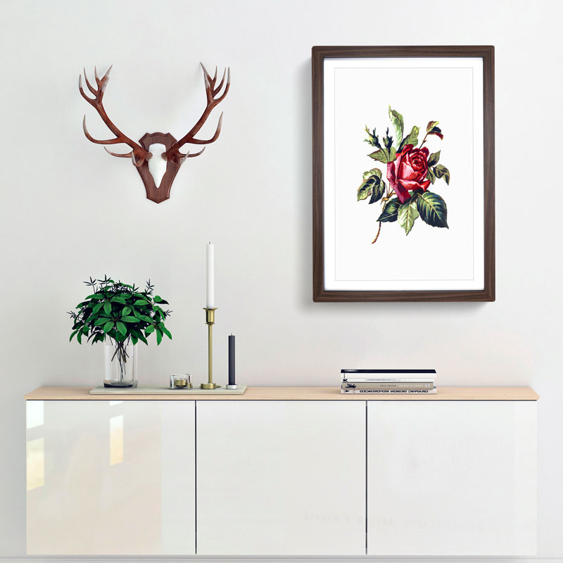 Red Rose Illustration - Framed Print, 36cm H x 27cm W x 2cm D, Walnut Framed