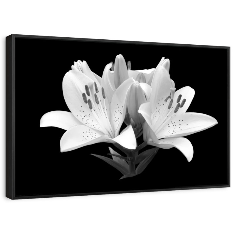 Impression sur toile monochrome Madonna Lily, H 17 po x l 25 po