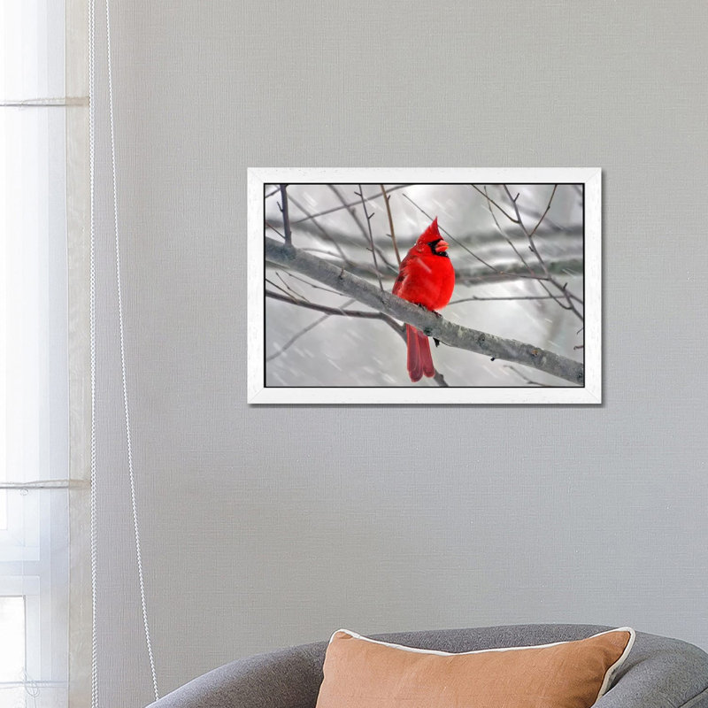 Cardinal Bird - Floater Frame Print on Canvas, 66.04cm H x 101.6cm W, White