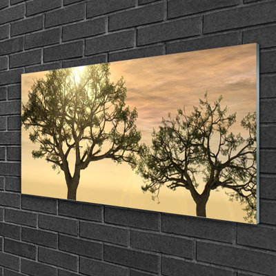 Nature Trees - No Frame Print on Glass