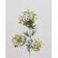 Artificial Mountain Laurel 30"