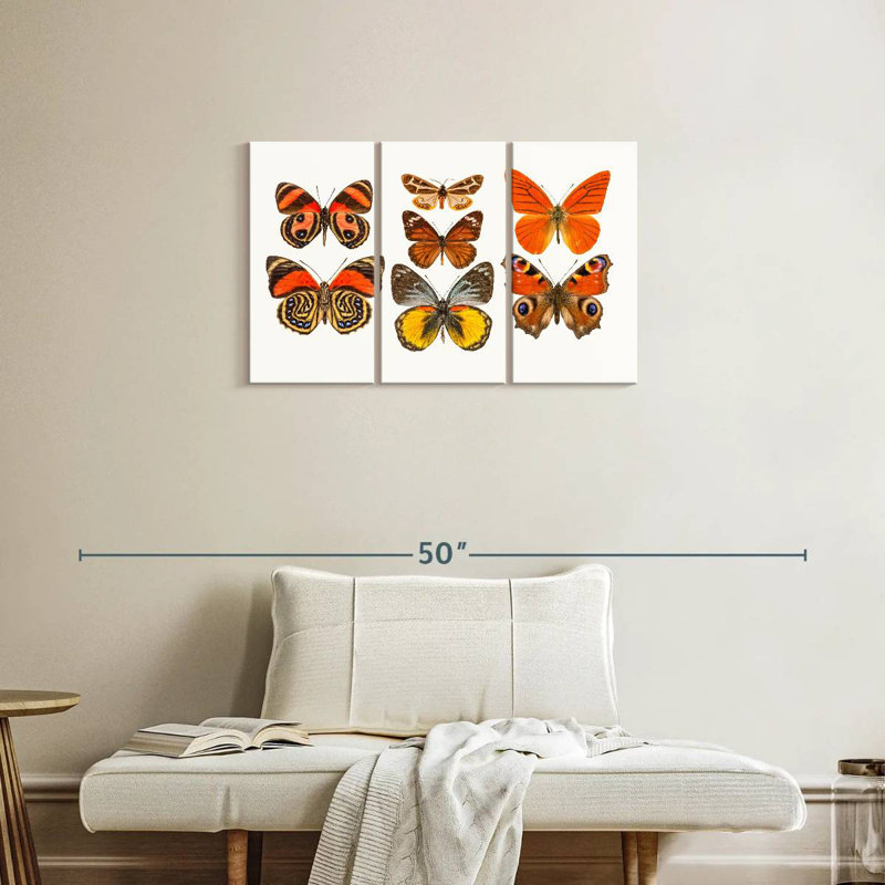 Collection de papillons oranges, H 20 po x l 33 po