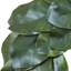 Couronne en plastique 24 po magnolia leaf