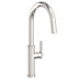 Polished Nickel