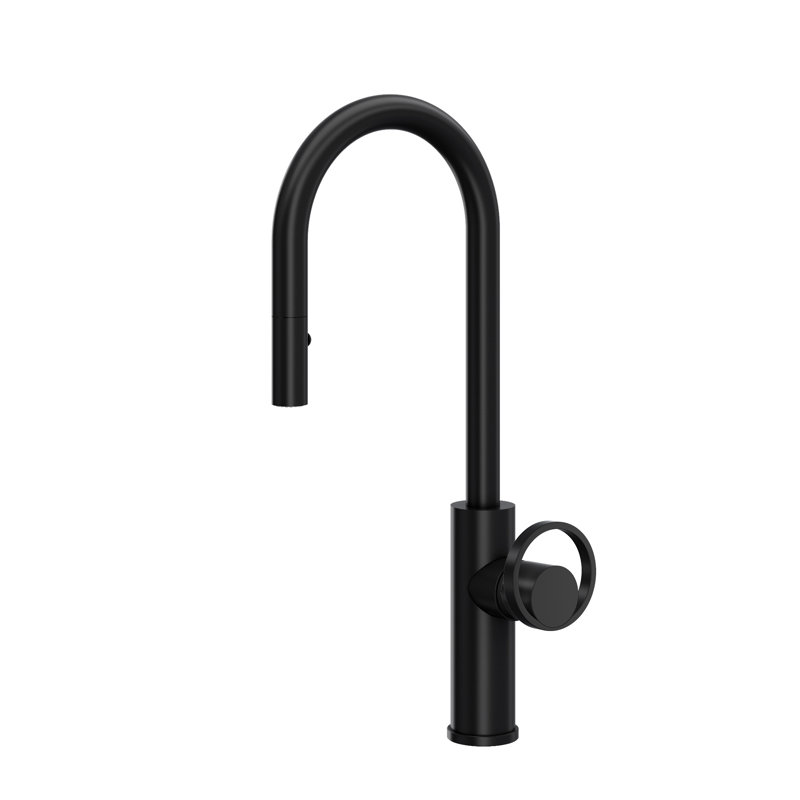 Eclissi™ Pull-Down Bar/Food Prep Kitchen Faucet with C-Spout and Handle, Matte Black