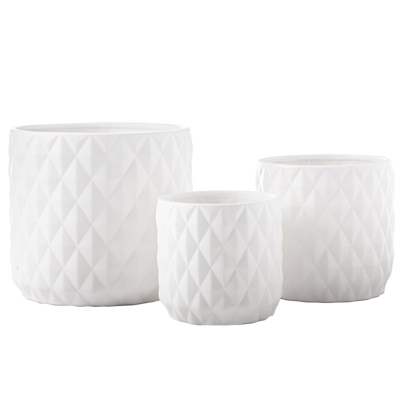 Ceramic Pot Planter
