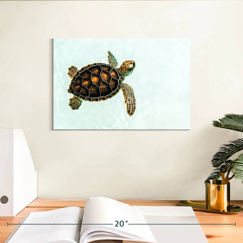 Bébé tortue Brampt, H 8 po x l 12 po