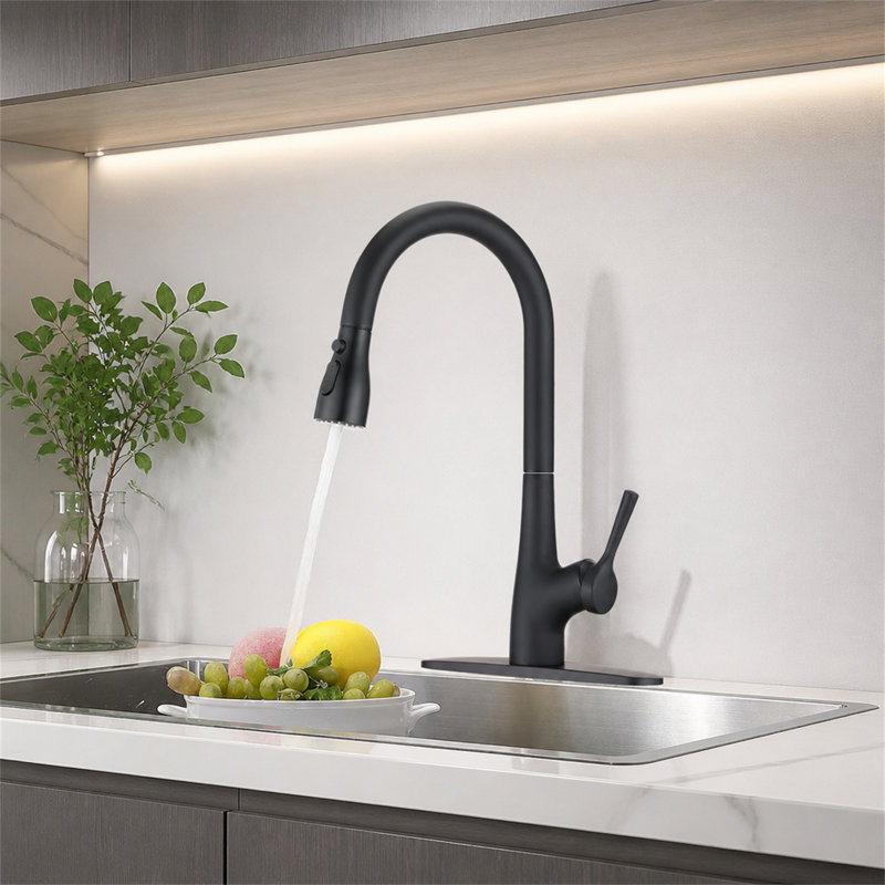 ROBOHIGH Kitchen Faucet Side Spray