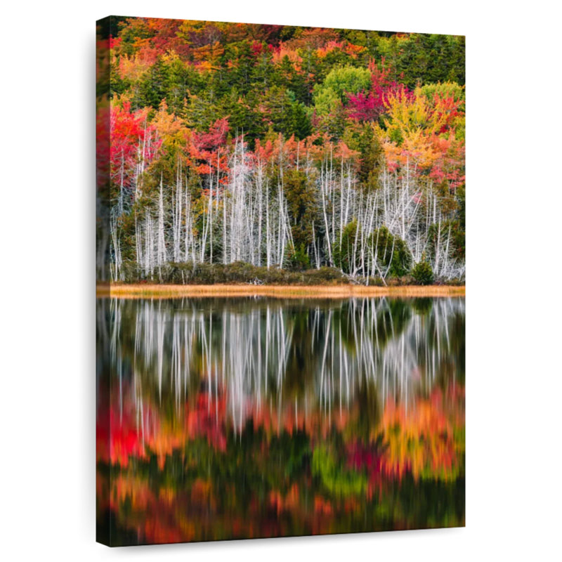 Alvord Acadia Autumn Forest, 48" H x 32" W