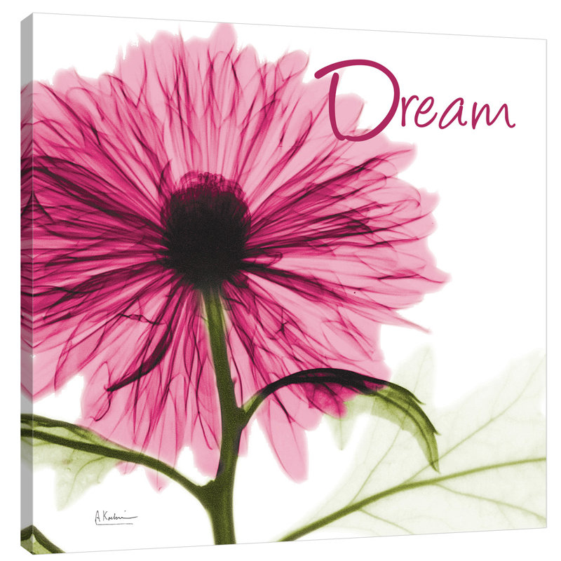 Pink Chrysanthemum Dream - Wrapped Canvas Print, 30 cm H x 30 cm W