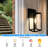 Kalopsida Wall Light
