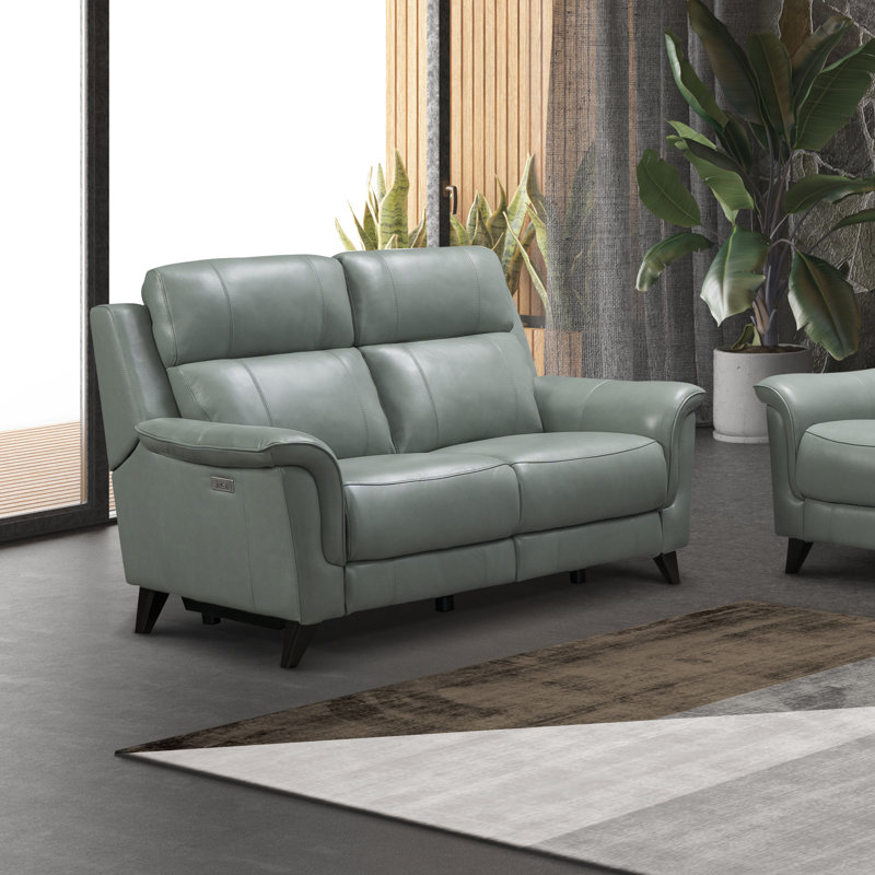 Neabsco 63'' Upholstered Power Reclining Loveseat, Lorenzo Mint Leather Match