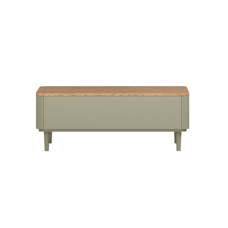 Blackett Four Leg Coffee Table with Storage, Green
