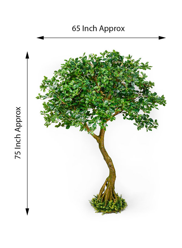 Árbol de hoja perenne de imitación de 75''