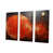 Wrapped Canvas selected