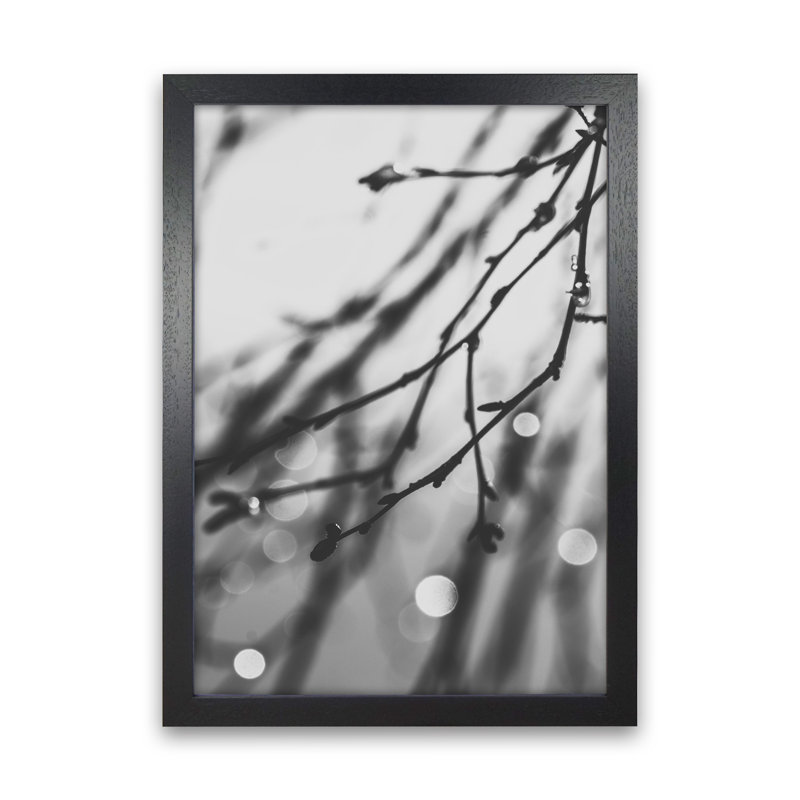Twilight II by Victoria Frost - Print, Black Framed, 88cm H x 64cm W x 3cm D